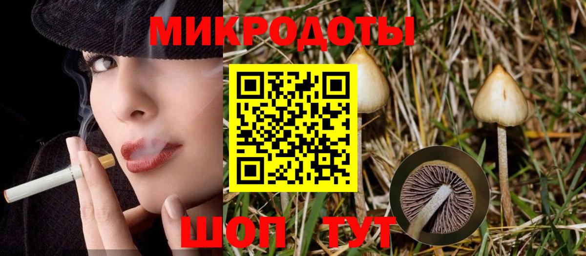 Галлюциногенные грибы мухоморы  купить  сайты  Ноябрьск  Вход с VPN 